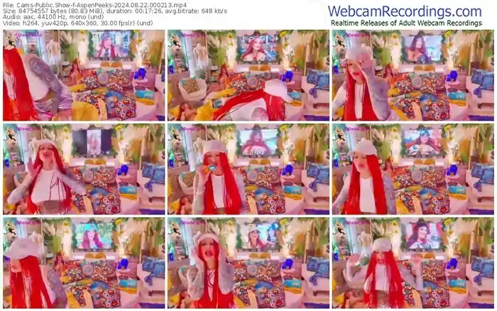 2024/08/22/cams-aspenpeeks-00-02-13