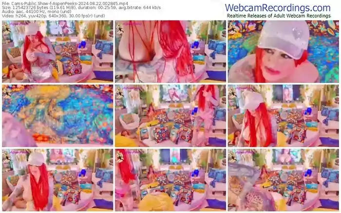 2024/08/22/cams-aspenpeeks-00-28-45