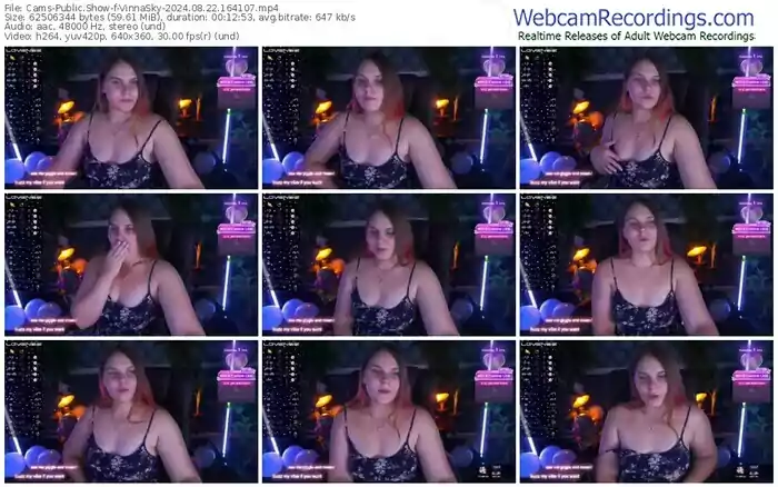 2024/08/22/cams-vinnasky-16-41-07