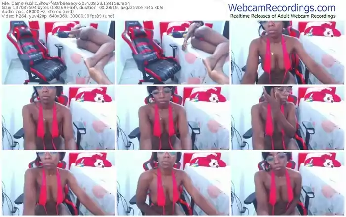 2024/08/23/cams-barbiiesexy-13-41-58