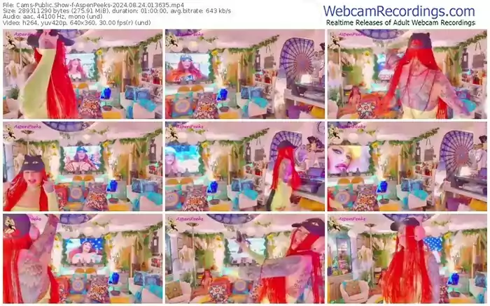 2024/08/24/cams-aspenpeeks-01-36-35