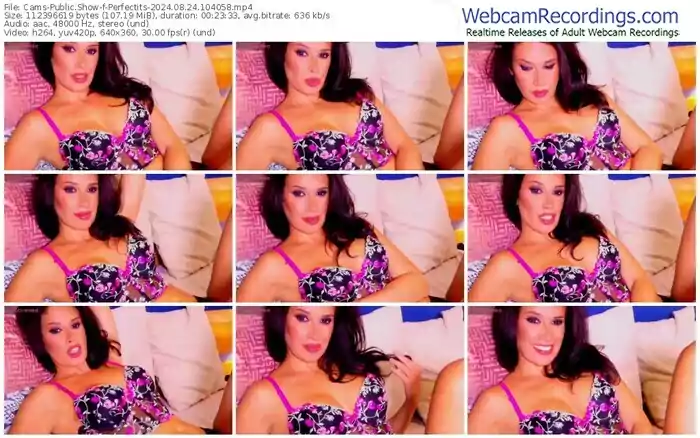 2024/08/24/cams-perfectits-10-40-58