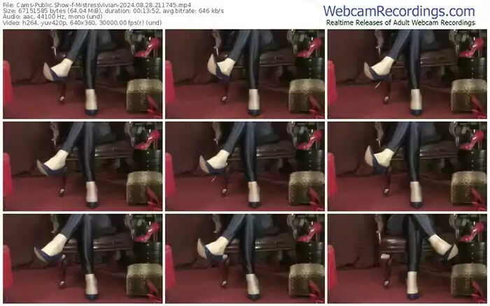 2024/08/28/cams-mistressvivian-21-17-45