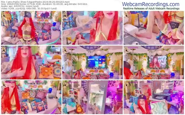 2024/08/29/cams-aspenpeeks-00-02-03