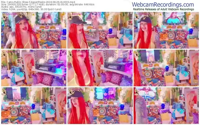 2024/08/29/cams-aspenpeeks-01-40-33