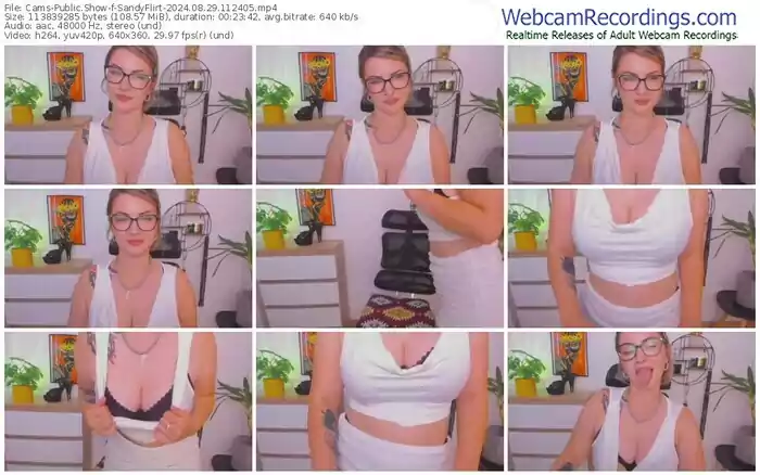 2024/08/29/cams-sandyflirt-11-24-05