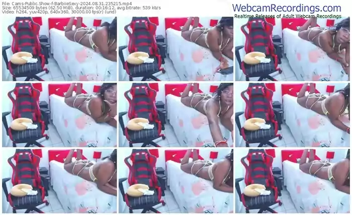 2024/08/31/cams-barbiiesexy-23-52-15