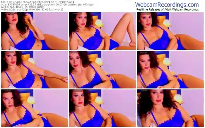 2024/08/31/cams-perfectits-02-48-52