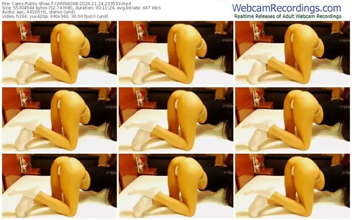 2024/11/24/cams-carina008-23-35-33