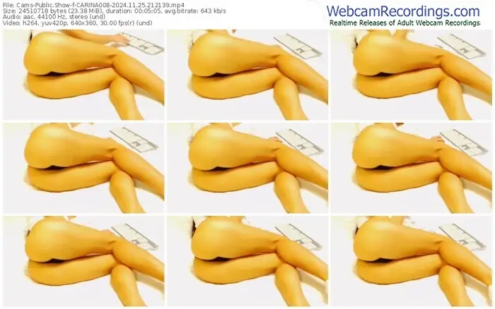 2024/11/25/cams-carina008-21-21-39