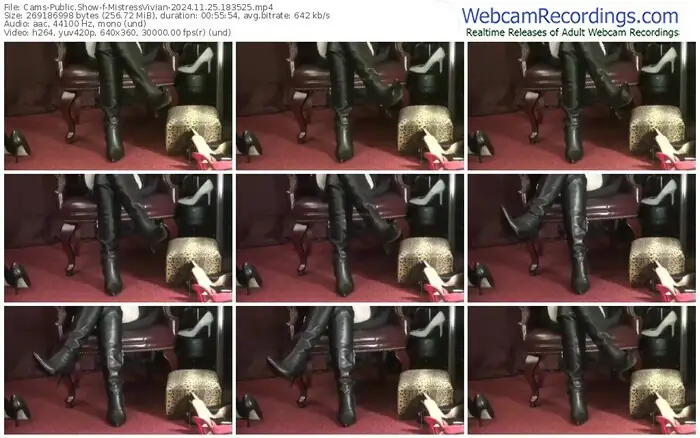 2024/11/25/cams-mistressvivian-18-35-25