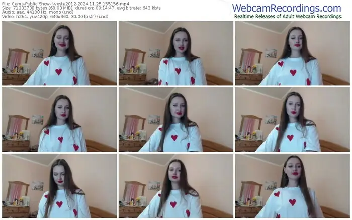 2024/11/25/cams-vesta2012-15-51-56