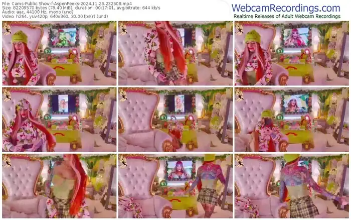 2024/11/26/cams-aspenpeeks-23-25-08