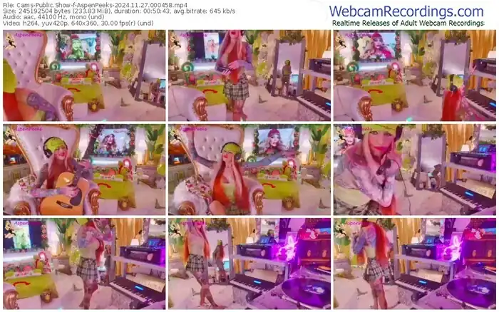 2024/11/27/cams-aspenpeeks-00-04-58