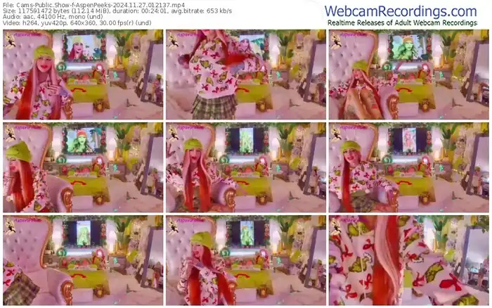 2024/11/27/cams-aspenpeeks-01-21-37