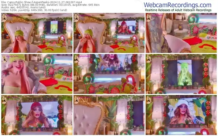 2024/11/27/cams-aspenpeeks-06-10-07