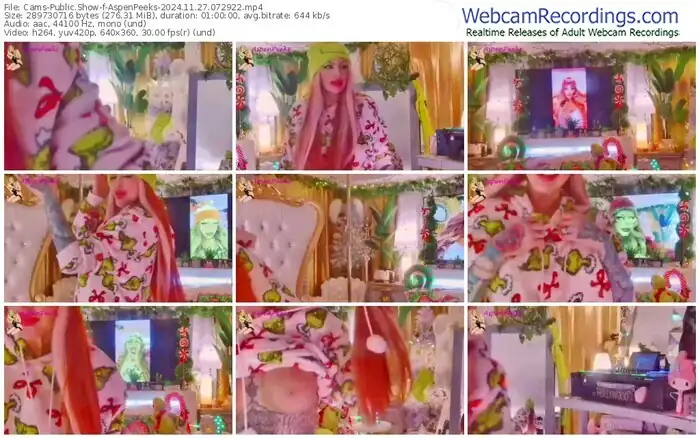 2024/11/27/cams-aspenpeeks-07-29-22