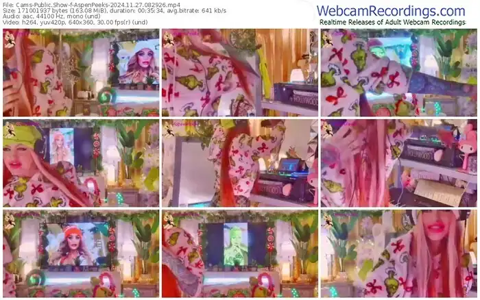 2024/11/27/cams-aspenpeeks-08-29-26