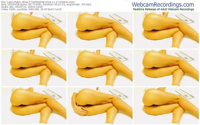 2024/11/27/cams-carina008-00-06-31