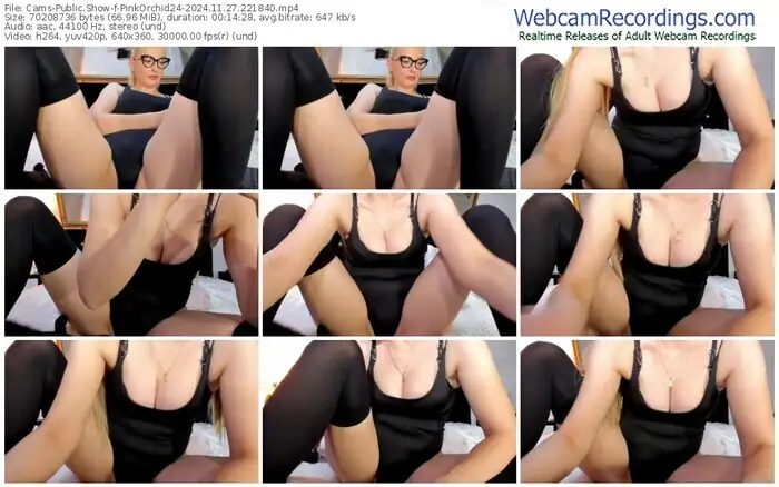 2024/11/27/cams-pinkorchid24-22-18-40