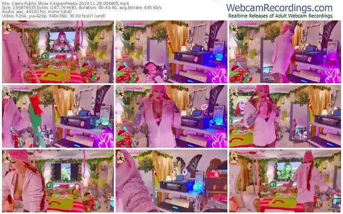 2024/11/28/cams-aspenpeeks-00-48-05