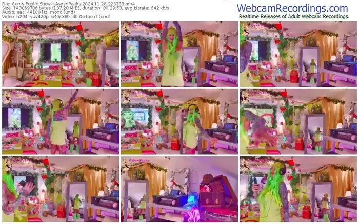 2024/11/28/cams-aspenpeeks-22-33-38