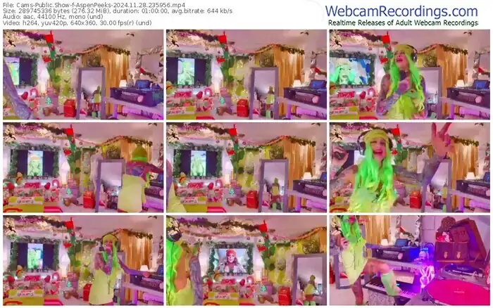 2024/11/28/cams-aspenpeeks-23-59-56