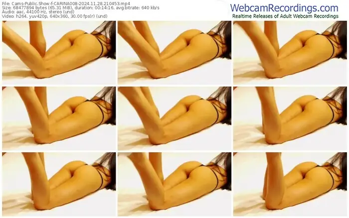 2024/11/28/cams-carina008-21-04-53