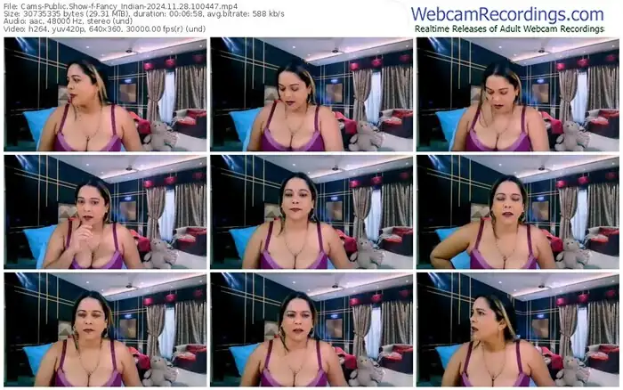 2024/11/28/cams-fancy_indian-10-04-47