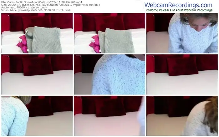 2024/11/28/cams-loradelniro-19-41-03