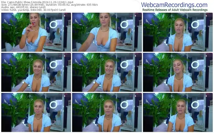 2024/11/29/cams-amida-12-24-11