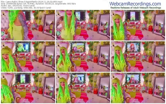 2024/11/29/cams-aspenpeeks-01-44-50