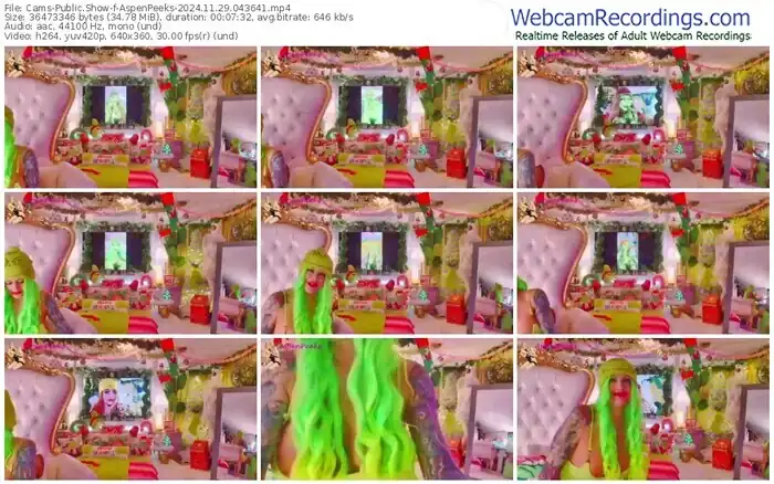 2024/11/29/cams-aspenpeeks-04-36-41