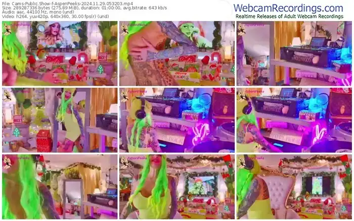 2024/11/29/cams-aspenpeeks-05-32-03