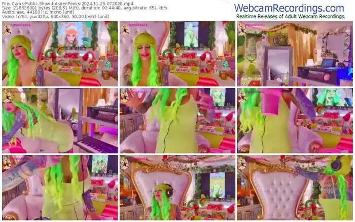 2024/11/29/cams-aspenpeeks-07-20-28