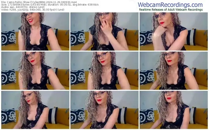 2024/11/29/cams-cyberbbw-06-09-30