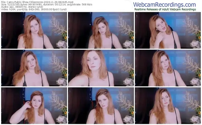 2024/11/29/cams-eleonores-08-24-45