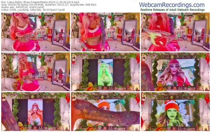 2024/11/30/cams-aspenpeeks-01-19-14