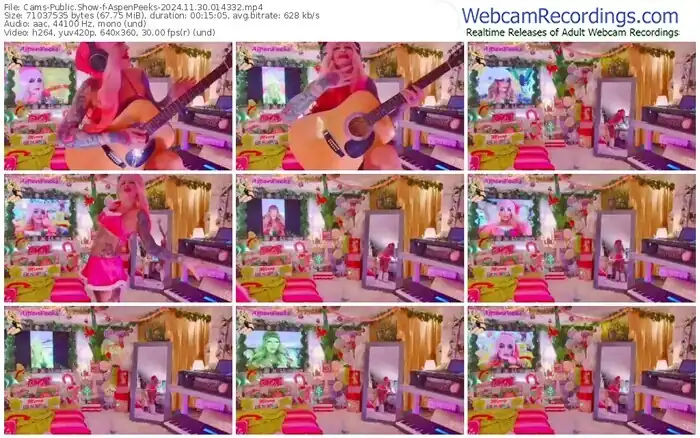 2024/11/30/cams-aspenpeeks-01-43-32