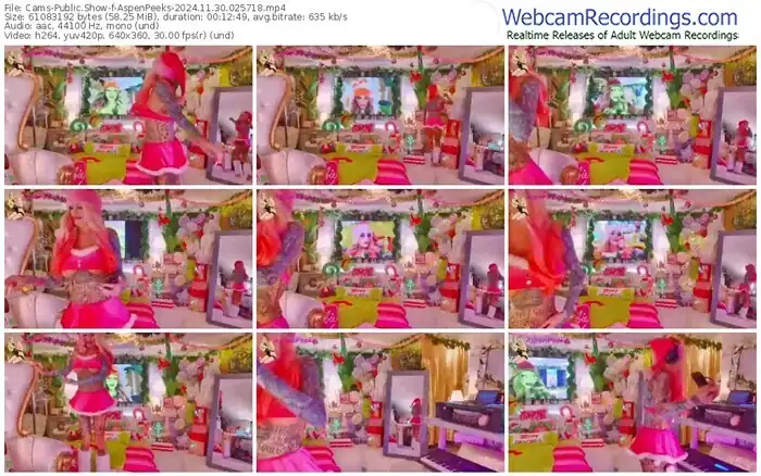 2024/11/30/cams-aspenpeeks-02-57-18