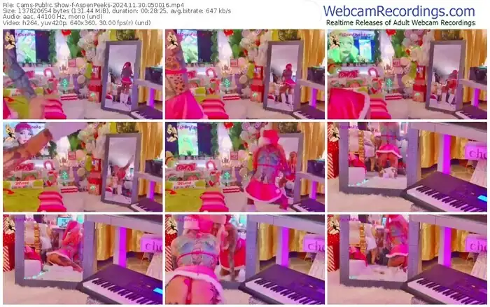 2024/11/30/cams-aspenpeeks-05-00-16