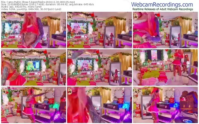 2024/11/30/cams-aspenpeeks-06-01-35