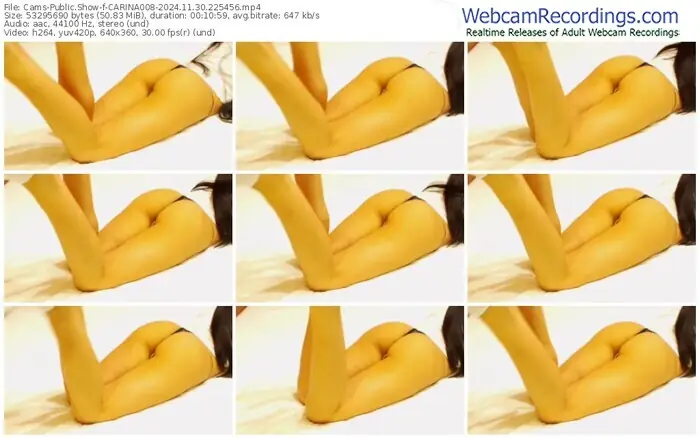 2024/11/30/cams-carina008-22-54-56