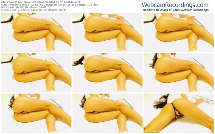 2024/11/30/cams-carina008-23-44-44