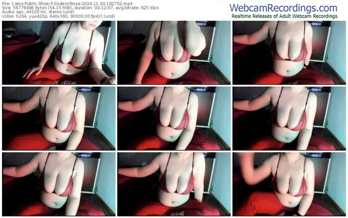 2024/11/30/cams-godesstessa-18-27-52