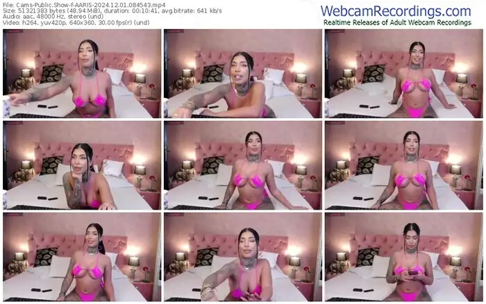 2024/12/01/cams-aaris-08-45-43