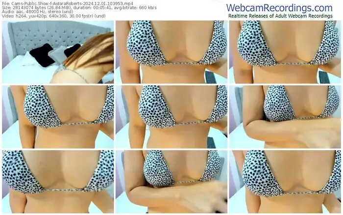 2024/12/01/cams-aidararoberts-10-39-53