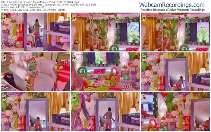 2024/12/01/cams-aspenpeeks-00-18-24