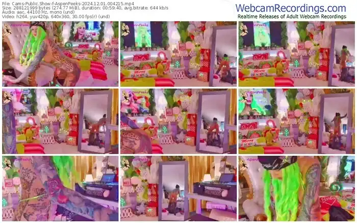 2024/12/01/cams-aspenpeeks-00-42-15