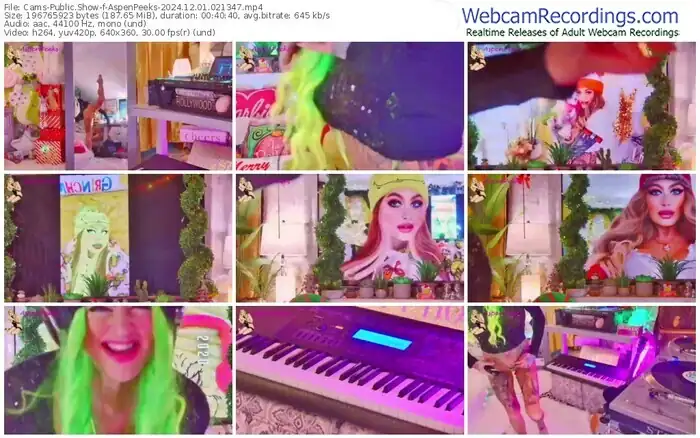 2024/12/01/cams-aspenpeeks-02-13-47